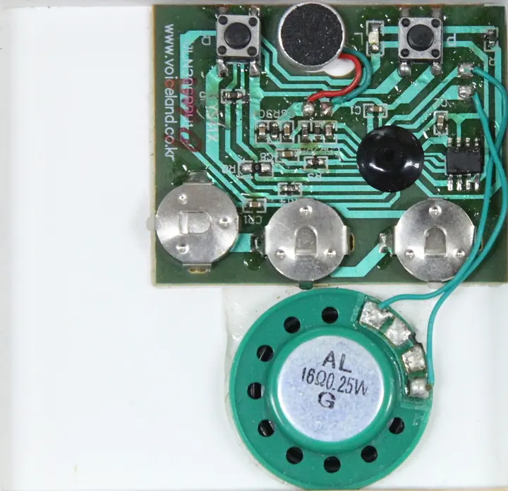 VLN30SRPV1 30sec 16KHz Recording Module