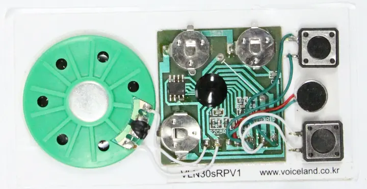 VLR30sM1 Recording 30sec Module